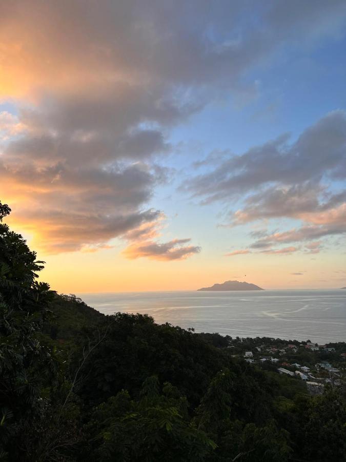 Paradise Heights Luxury Apartments & Villa Vịnh Beau Vallon Ngoại thất bức ảnh